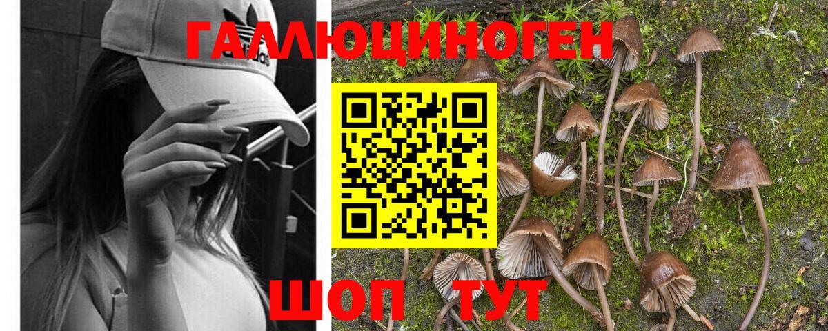 Псилоцибиновые грибы мухоморы Аксай
