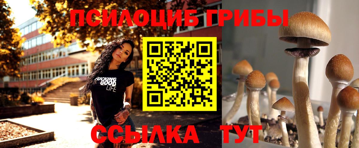 Галлюциногенные грибы Psilocybe  Вход с VPN  Аксай 